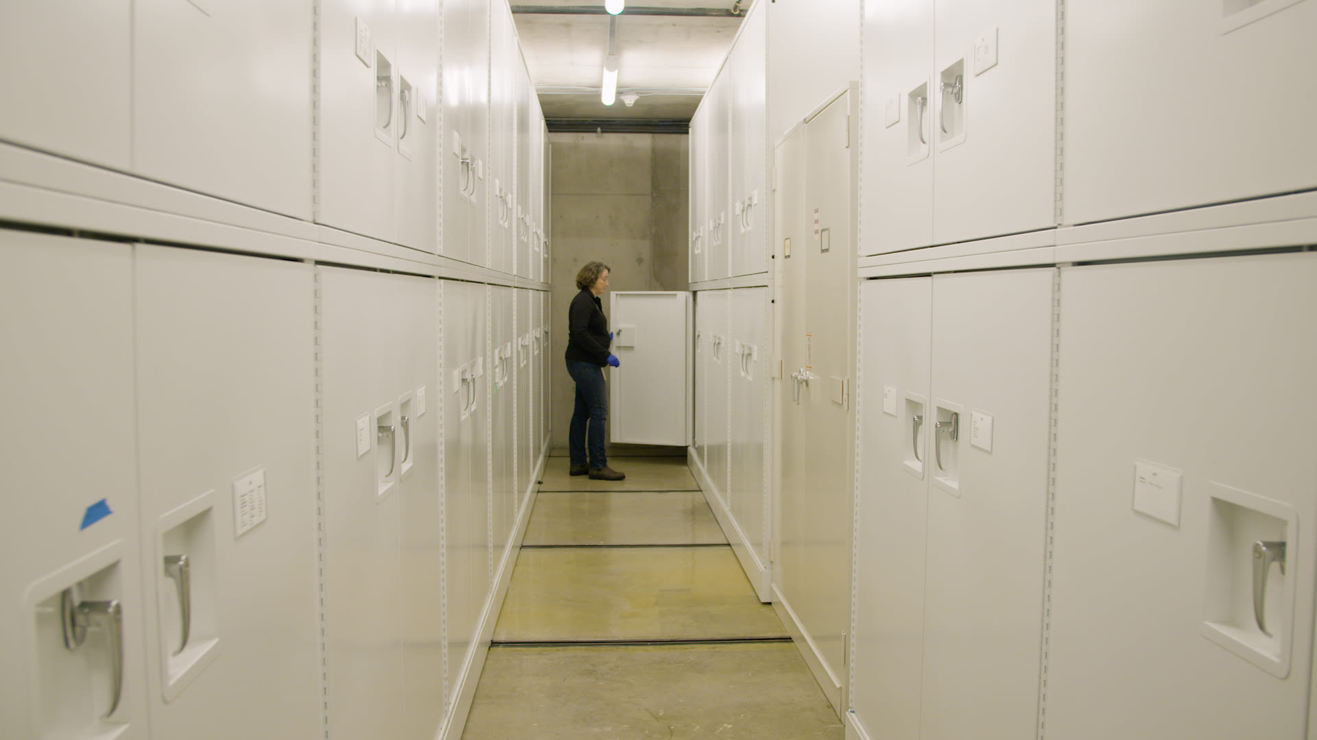 Watch Inside the Room Housing 46 Million Museum Specimen | WIRED