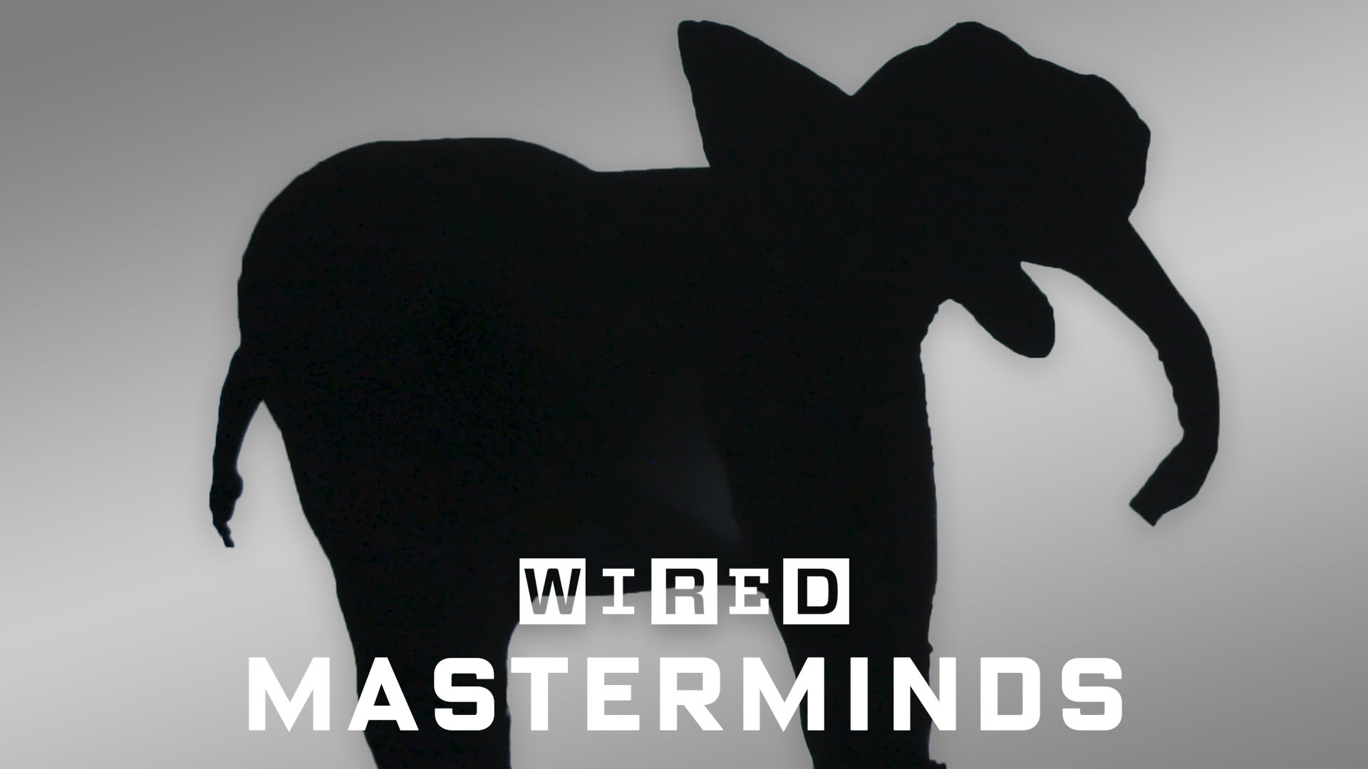 Watch How Pilobolus Brings Shadows To Life Wired Video Cne Wired Com Wired 100 pics is very popular trivia app developed by poptacular, fun addicting games shadows level 76 : watch how pilobolus brings shadows to