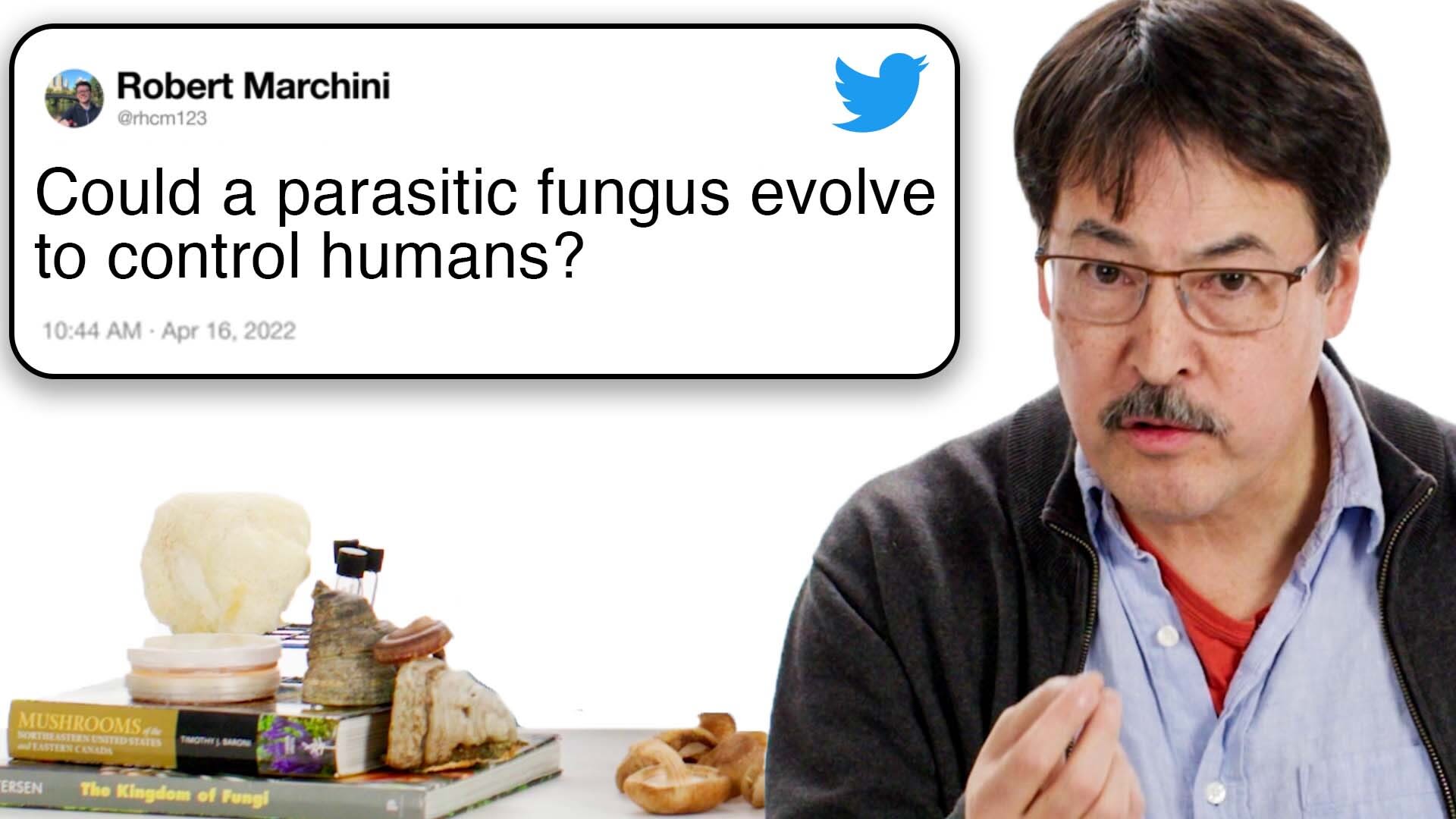 Watch Mycologist Answers Mushroom Questions From Twitter Tech Support
