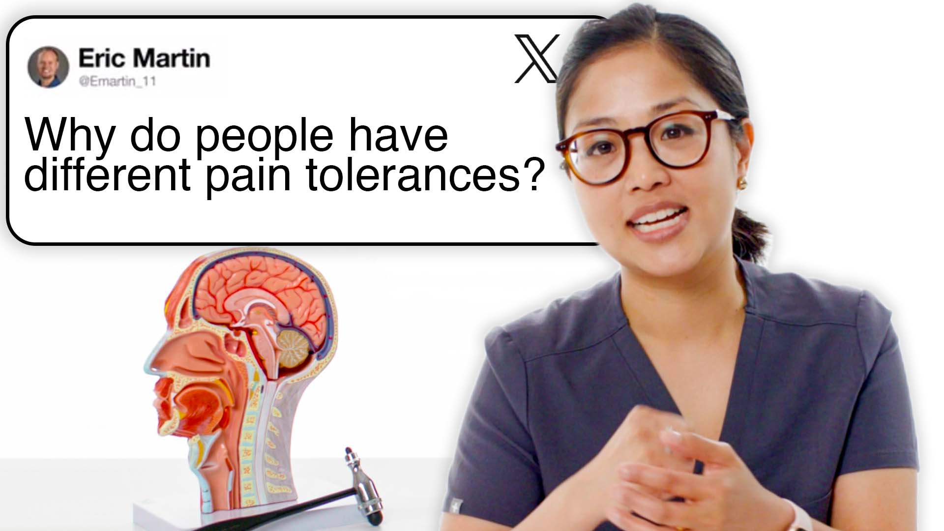 Watch Neurologist Answers Nerve Questions From Twitter | Tech Support |  WIRED