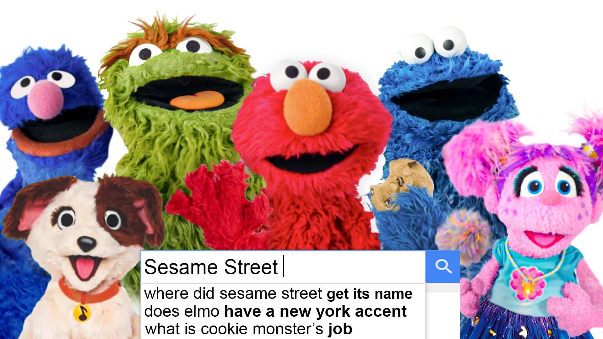 Watch 'Sesame Street' Muppets Answer More of the Web's Most Searched  Questions, Autocomplete Interview