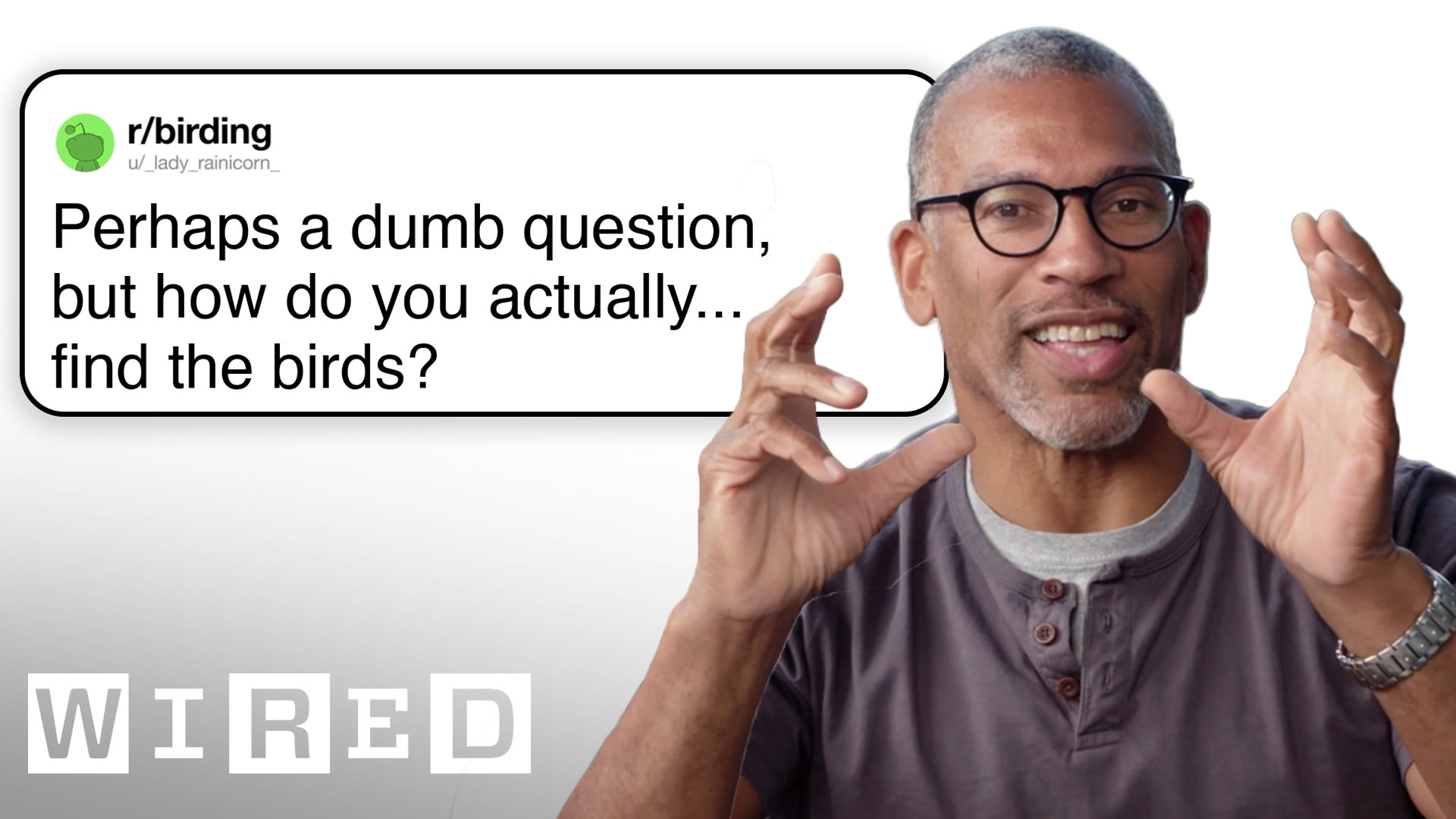 https://dwgyu36up6iuz.cloudfront.net/heru80fdn/image/upload/c_fill,d_placeholder_wired.png,fl_progressive,g_face,h_1080,q_80,w_1920/v1774903534/wired_tech-support-professional-birder-answers-birding-questions.jpg?mbid=social_retweet