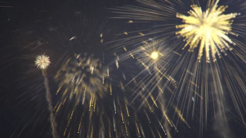 *flower.*専用 18年振り軌道 Fire Flowers' Dazzle in Gorgeous Photos of Japanese