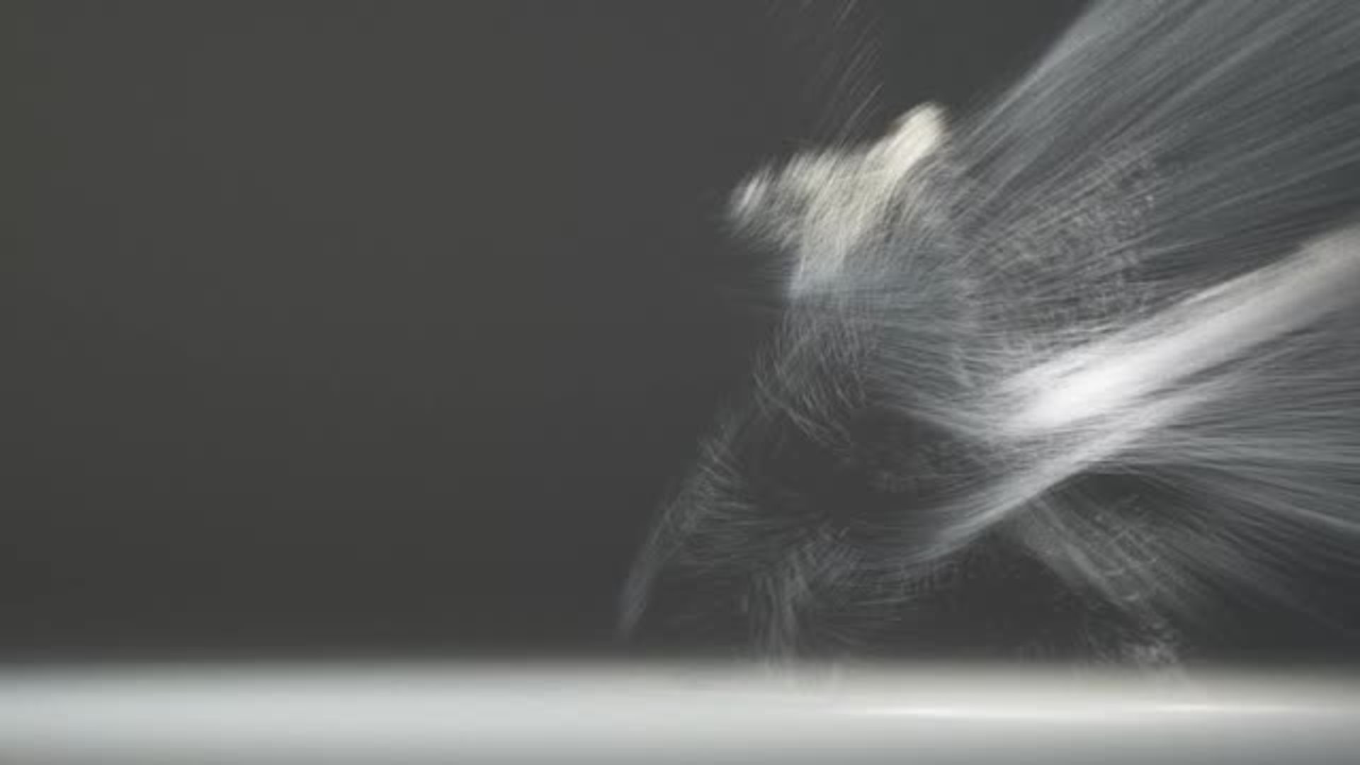 Watch Kung Fu Motion Visualization, uno studio sulle arti marziali