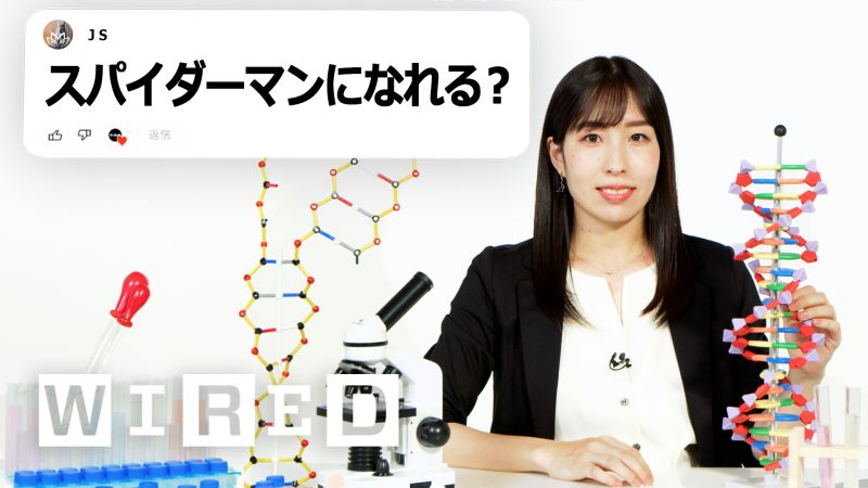図録 横尾忠則展 学芸員危機一髪 - 横尾忠則オンラインショップ
